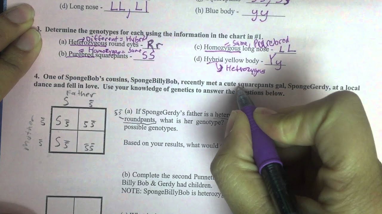 Bikini Bottom Genetics 2 Answers - YouTube