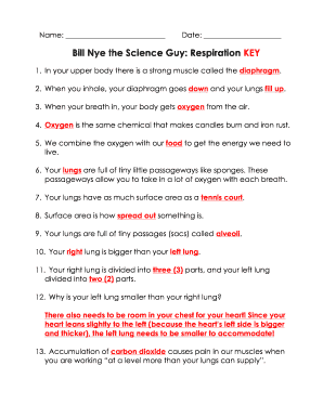 bill nye food web worksheet