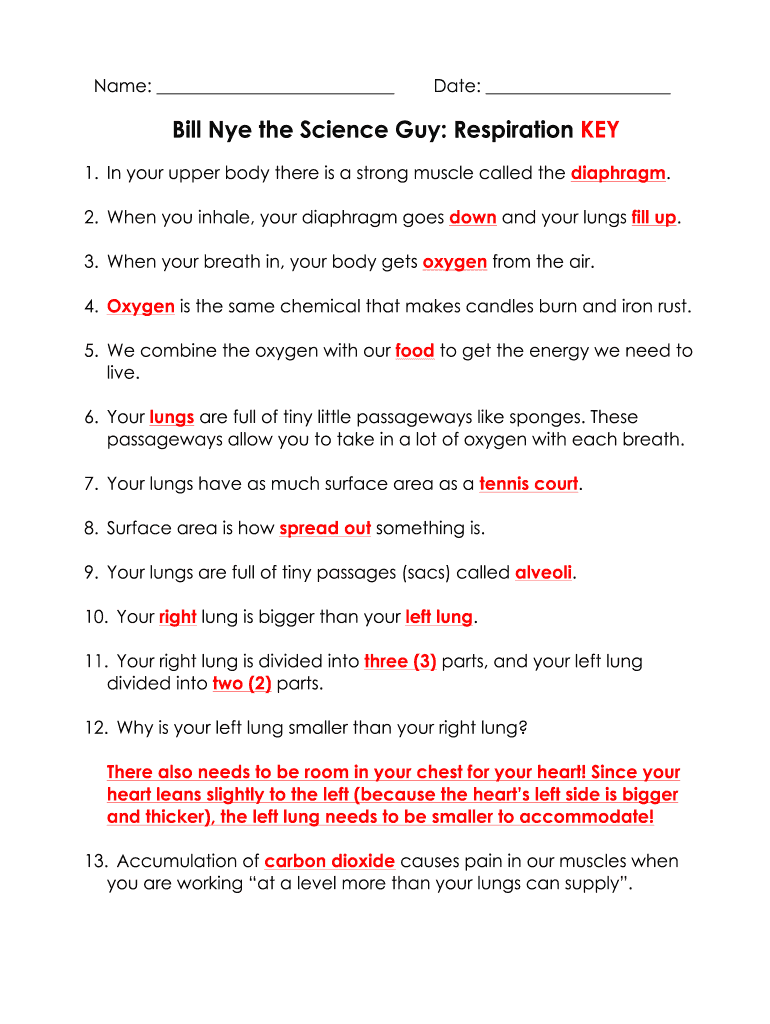 bill nye the science guy energy worksheet