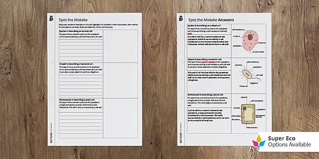 Spot the Mistakes Cell Biology Worksheet | Beyond Science