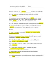 Biochemistry Review Worksheet and Answers - Biochemistry Review ...