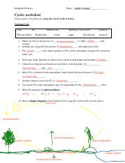 biogeochemical cycle worksheet