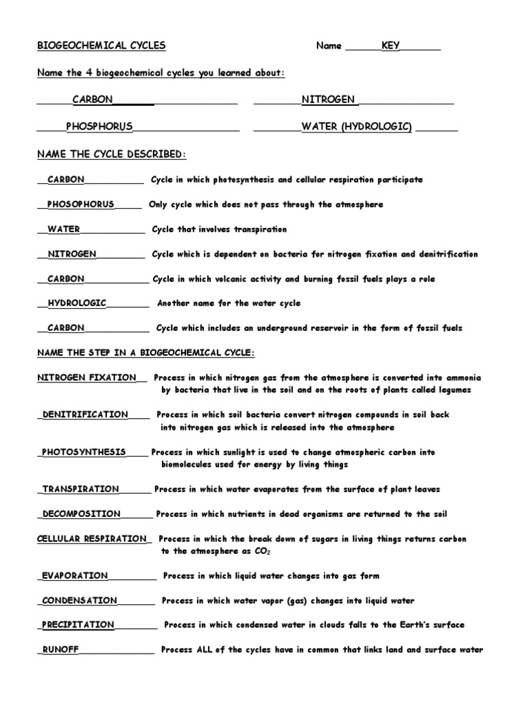 Cycles Worksheetanswers | PDF | Nitrogen | Soil