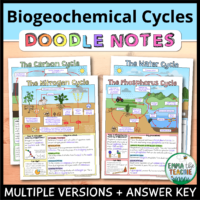 biogeochemical cycle worksheet