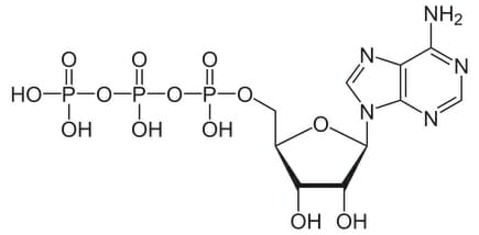 Molecule - Definition, Types and Examples | Biology Dictionary