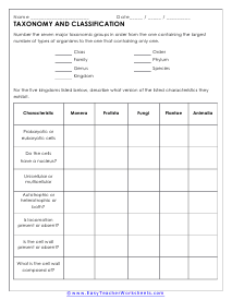 Classification Worksheets