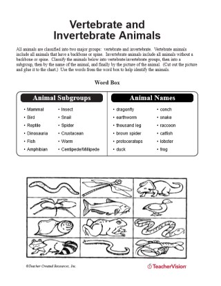 Biological Classification Worksheets