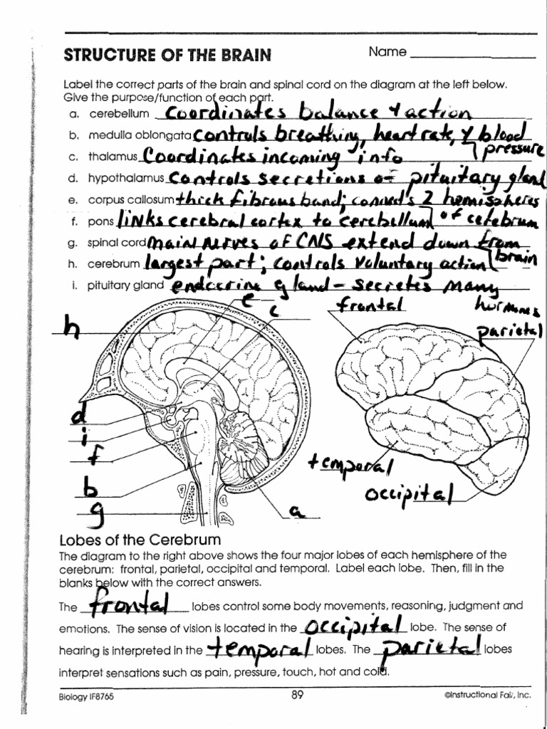 biology if8765 worksheet answers