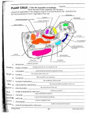 biology if8765 worksheet answers