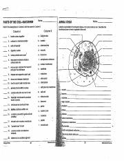 biology if8765 worksheet answers