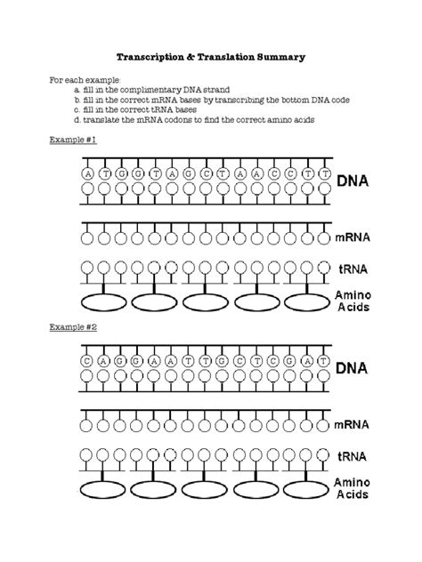 biology if8765 worksheet answers