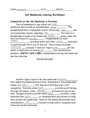 Kami Export - Gabriel Winston - cell membrane coloring worksheet ...