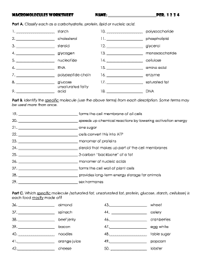 Macromolecules Worksheet Pdf - Fill Online, Printable, Fillable ...