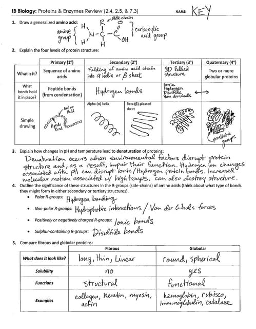 biology review worksheet
