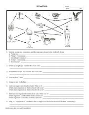 WS - A Food Web p.pdf - A Food Web s na k e f rog dragonfly Name ...
