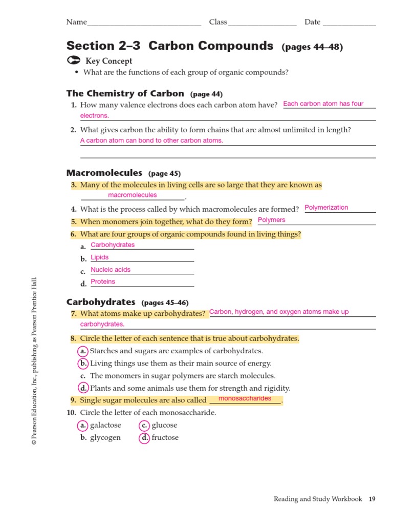 biology worksheet answers prentice hall