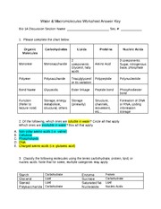 biology worksheet answers