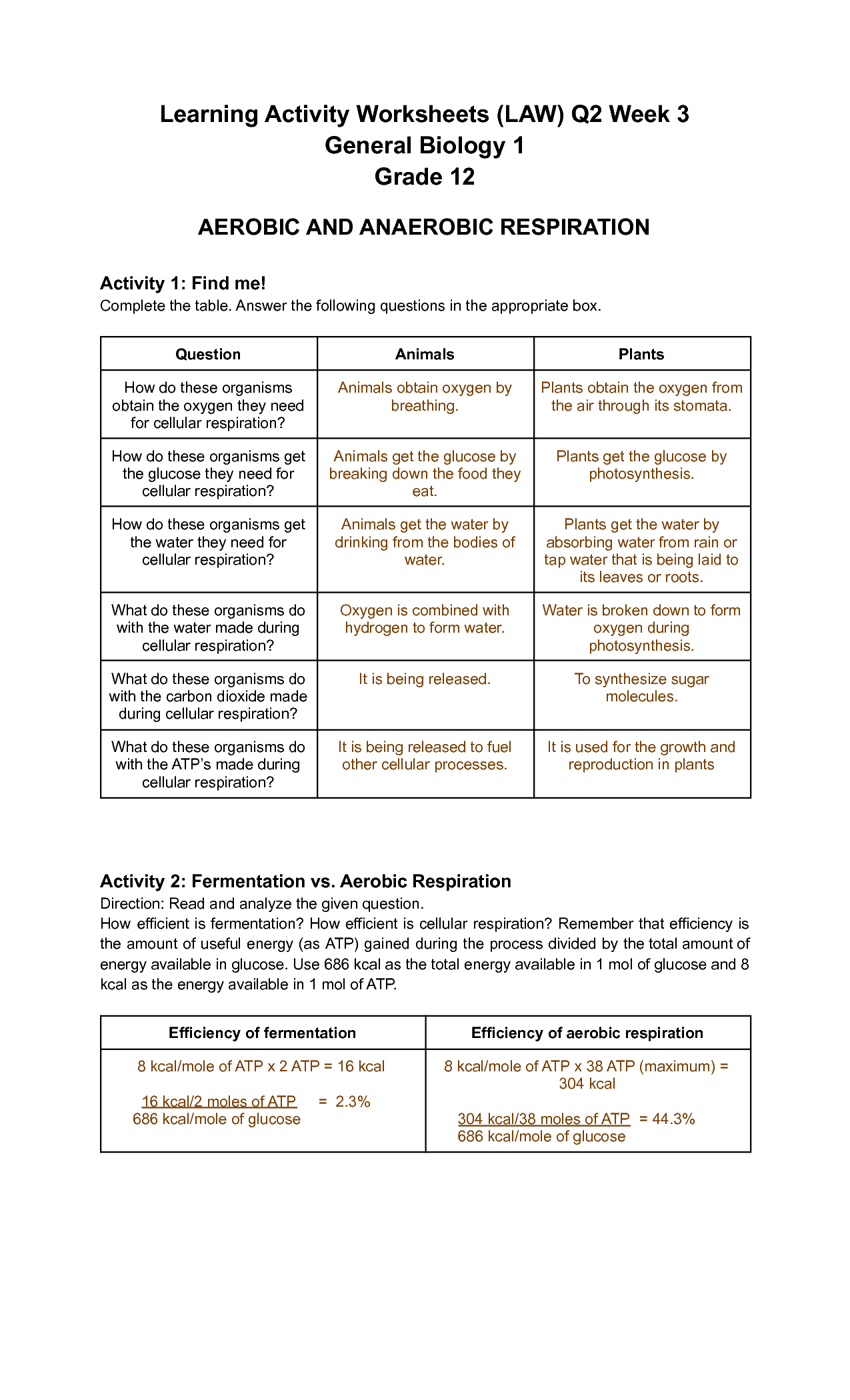 biology worksheet answers