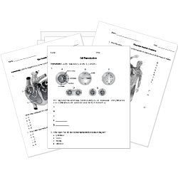 Printable Biology Worksheets - Anatomy, Physiology, Botany ...