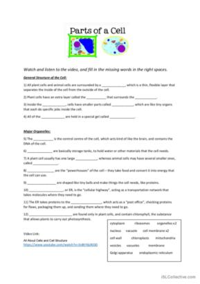 biology worksheet pdf