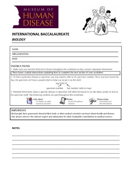 biology worksheet pdf
