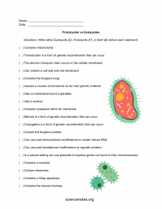 Biology Worksheets, Notes, and Quizzes (PDF and PNG)