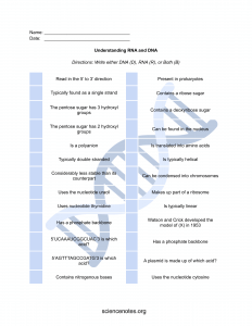 Biology Worksheets, Notes, and Quizzes (PDF and PNG)