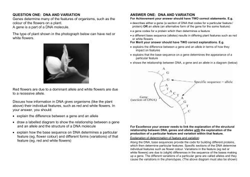 biology worksheet with answers