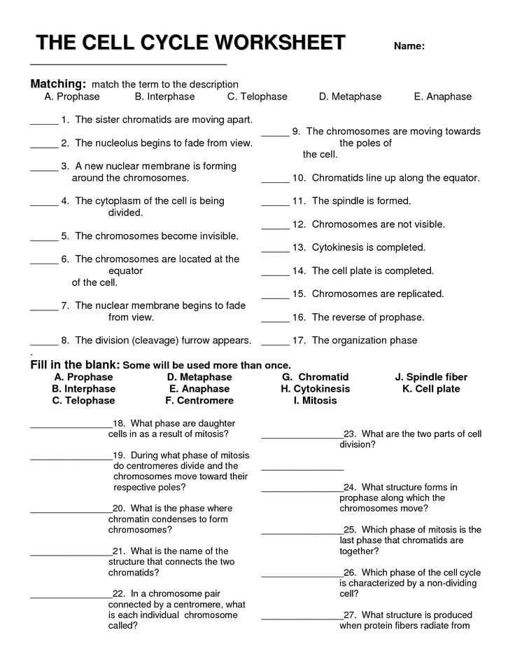10th Grade Biology Worksheets with Answers Along with 183 Best ...