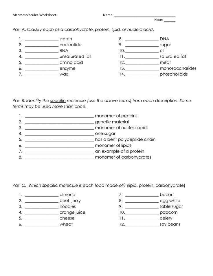 biology worksheet