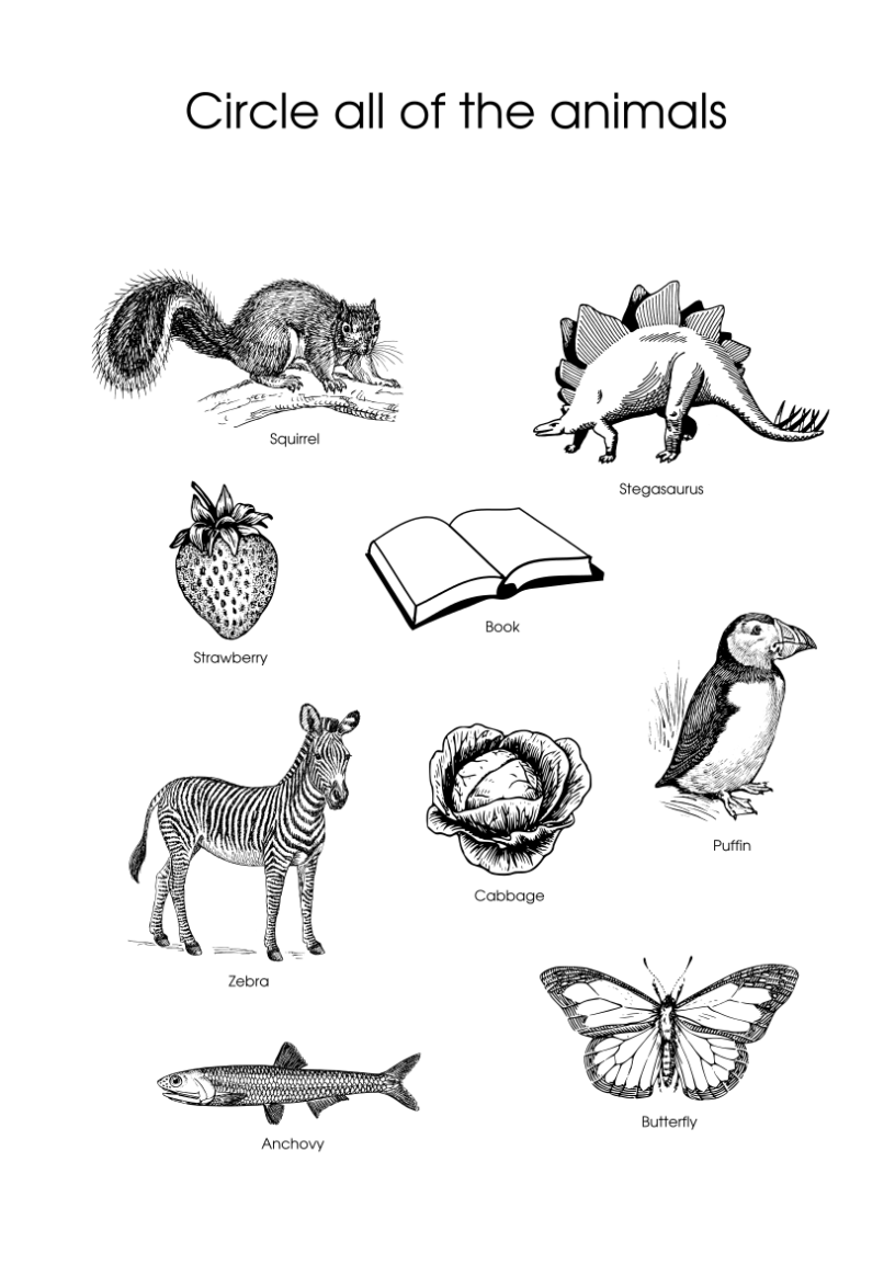 Biology worksheet on taxonomy for pre-schoolers: “Circle all the ...