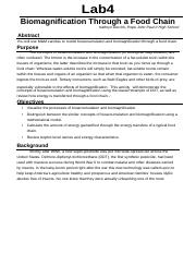 biomagnification worksheet
