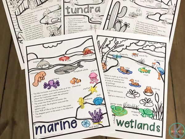 FREE Biomes Coloring Pages for Kids