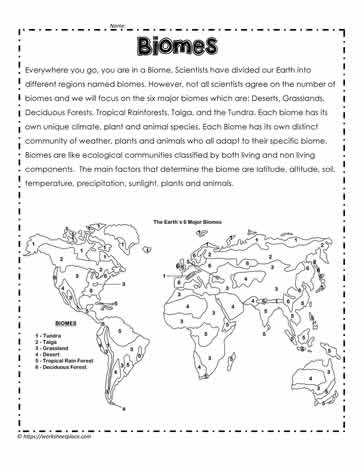 Biome Facts and Map of Biomes Worksheets