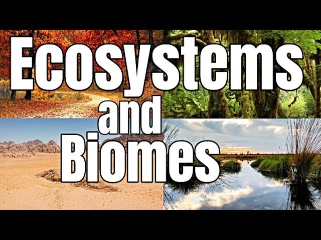 biomes and ecosystems worksheet