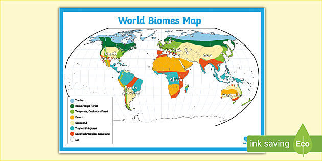 World Biomes Map - Primary Geography - KS2 Resources