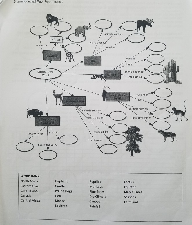 Solved Blomes Concept Map (Pgs. 100-104) animals such as | Chegg.com