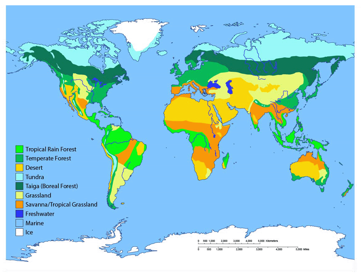 Biomes of the World | Ask A Biologist