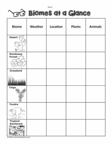 Biome Graphic Organizer Worksheets