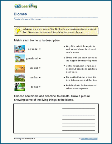 biomes worksheet answers