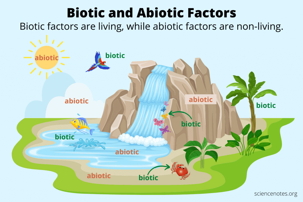 biotic and abiotic factors worksheet
