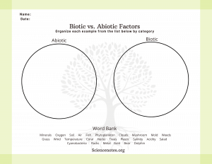 biotic and abiotic factors worksheet