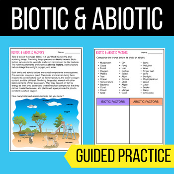 Biotic &  Abiotic - Reading Comprehension Worksheets