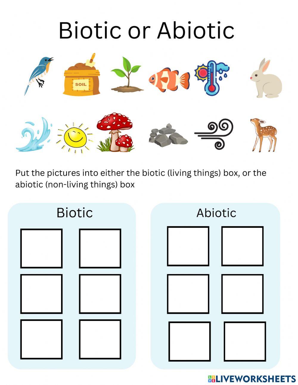 biotic vs abiotic worksheet