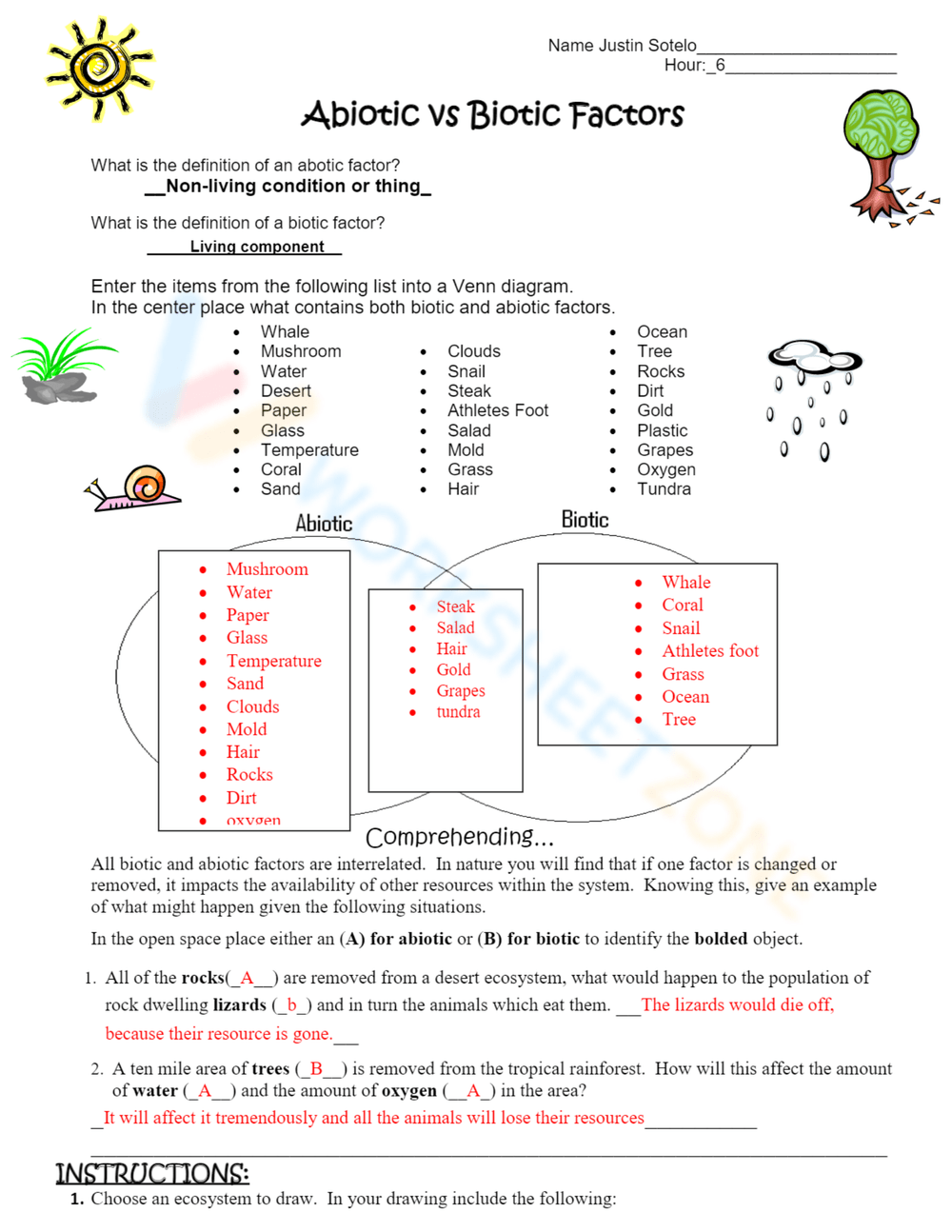 biotic vs abiotic worksheet