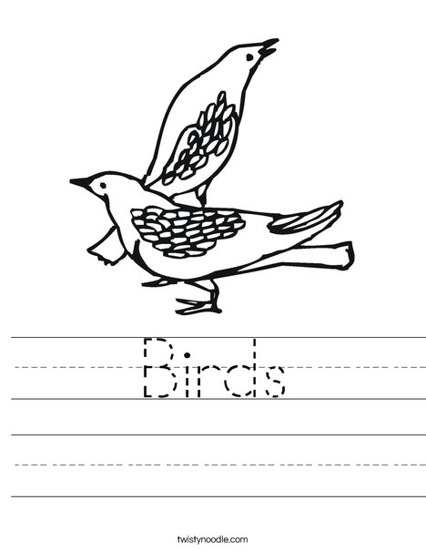 Birds Worksheet - Twisty Noodle