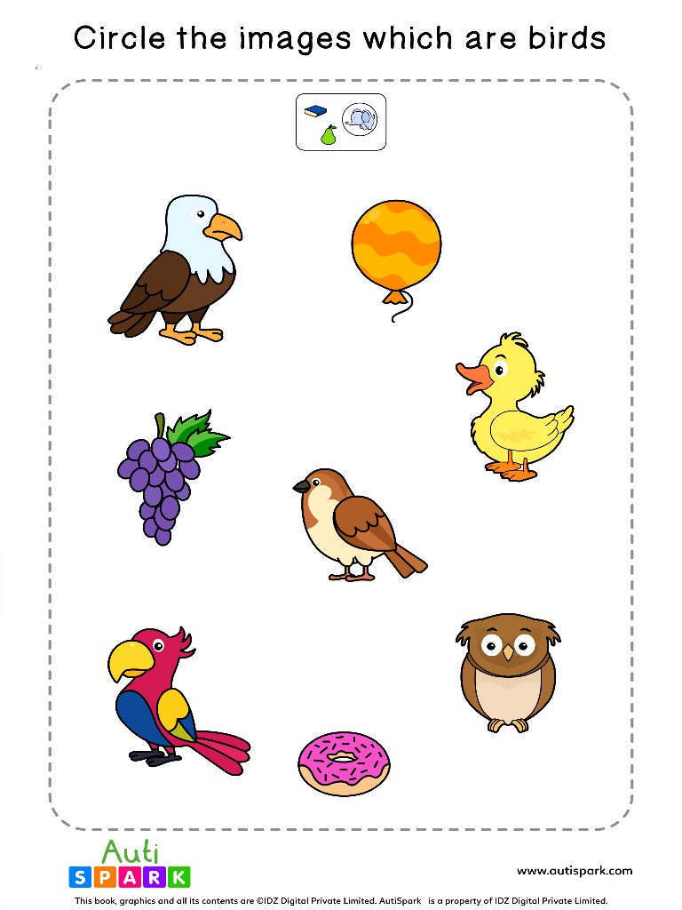 Sorting Birds Free Worksheet - #03 - AutiSpark