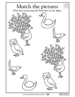 Match the birds | Preschool Reading Worksheet | GreatSchools