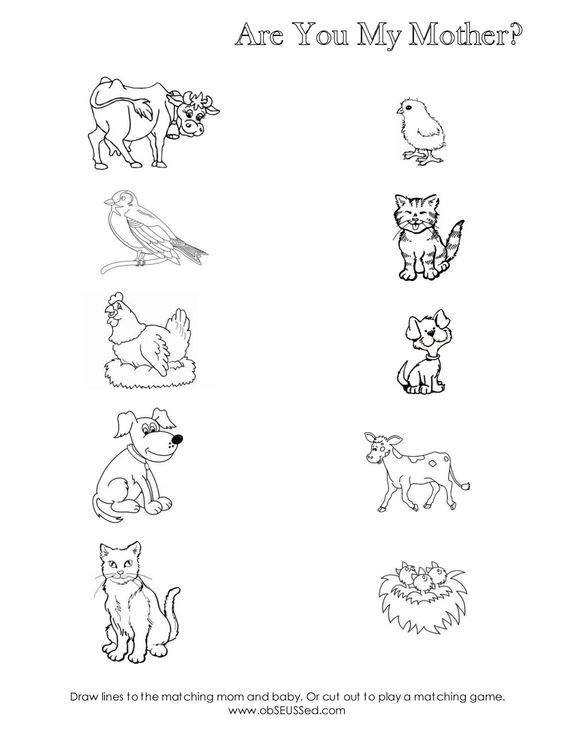 birth of baby worksheet