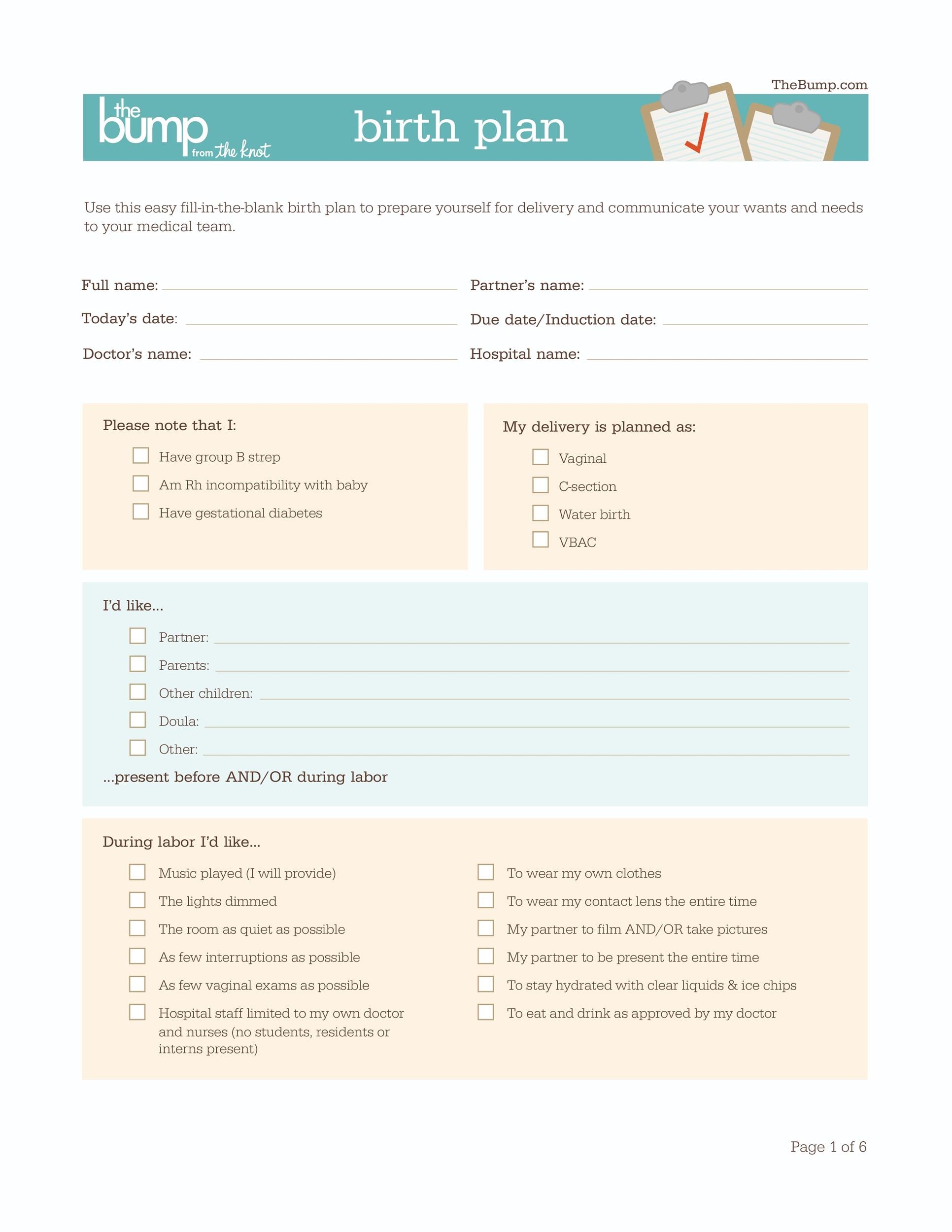 47+ Printable Birth Plan Templates [Birth Plan Checklist] ᐅ ...
